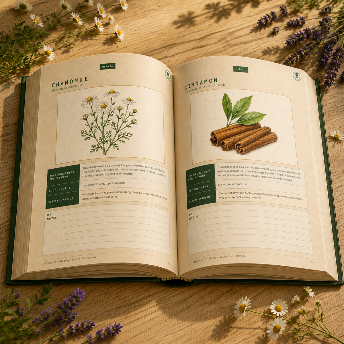 50 Herbs Every Home Should Know interior preview featuring chamomile and cinnamon