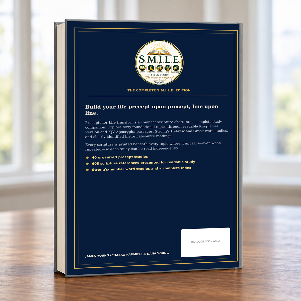 Precepts for Life high-resolution photorealistic back-cover mockup